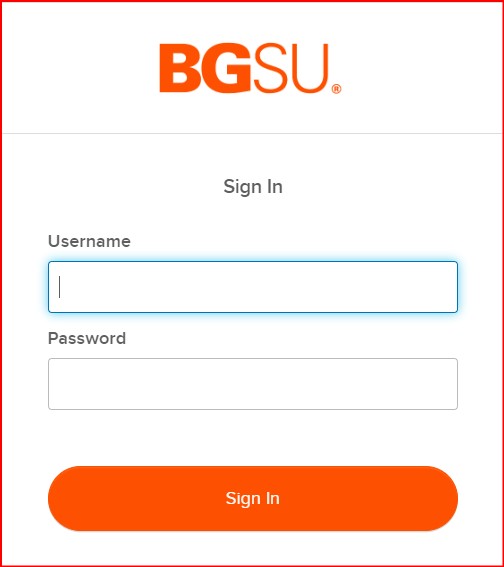 04-before-go-institutional-sso
